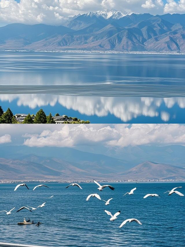 邂逅洱海湖光雲影間嘅夢幻綺旅