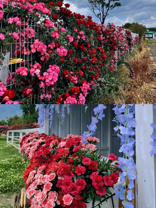 99%嘅人都唔知嘅隱世花園