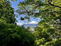 A Day with Fuji