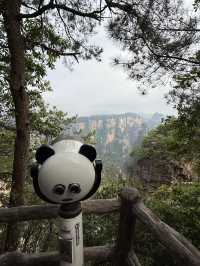Zhangjiajie - A Dreamlike Mountain Escape 