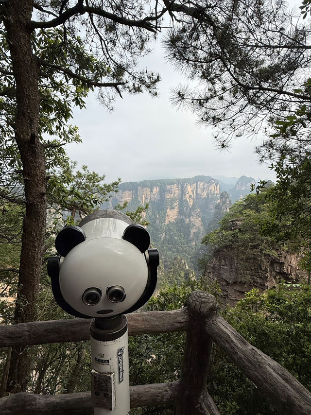 Zhangjiajie - A Dreamlike Mountain Escape 