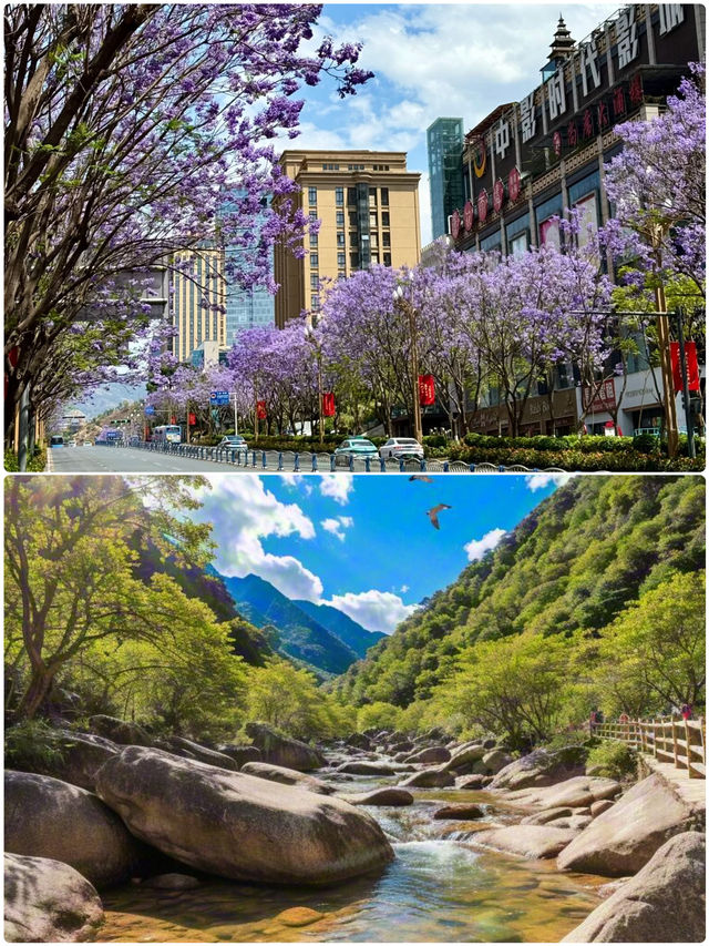 攀枝花玩咗3日，我嘅消費觀崩塌咗