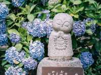 探秘京都小众宝藏——丹州華觀音寺