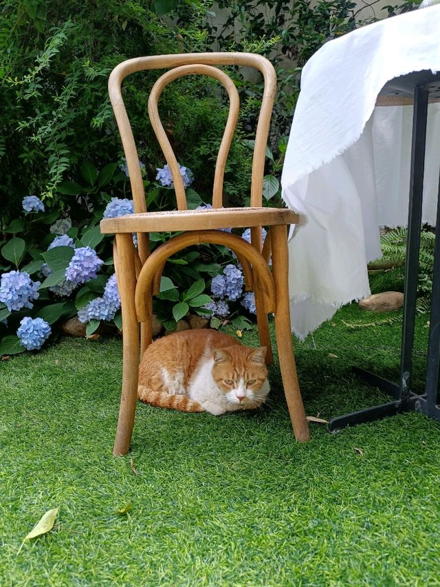 Hidden cafe in Shanghai 