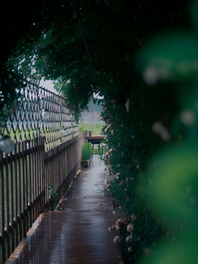 瀘沽湖慕魚‖雨後嘅湖畔花園夢境