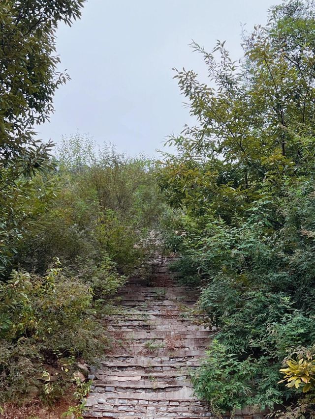 探索鄭州中靈山：重現人類始祖發源地盛景