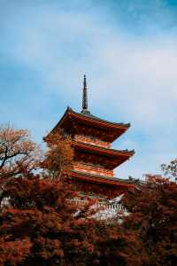 穿越千年京都：一座城市，半部日本史
