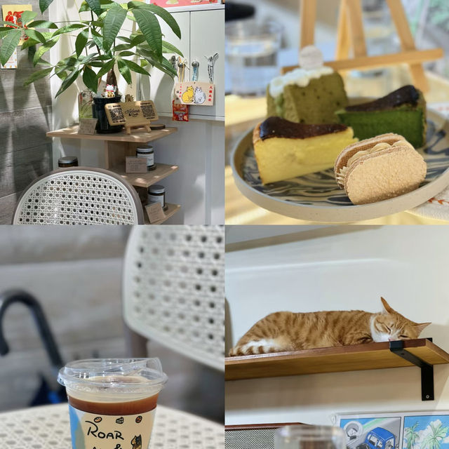 澳門美食🇲🇴 Roar and Meow新馬路隱藏寶藏！本地人私藏的咖啡甜品天堂☕️