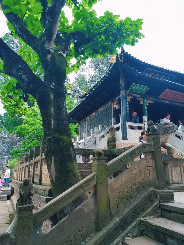 昆明周邊遊 | 金殿，集歷史文化與自然風光於一身的寶藏風景區
