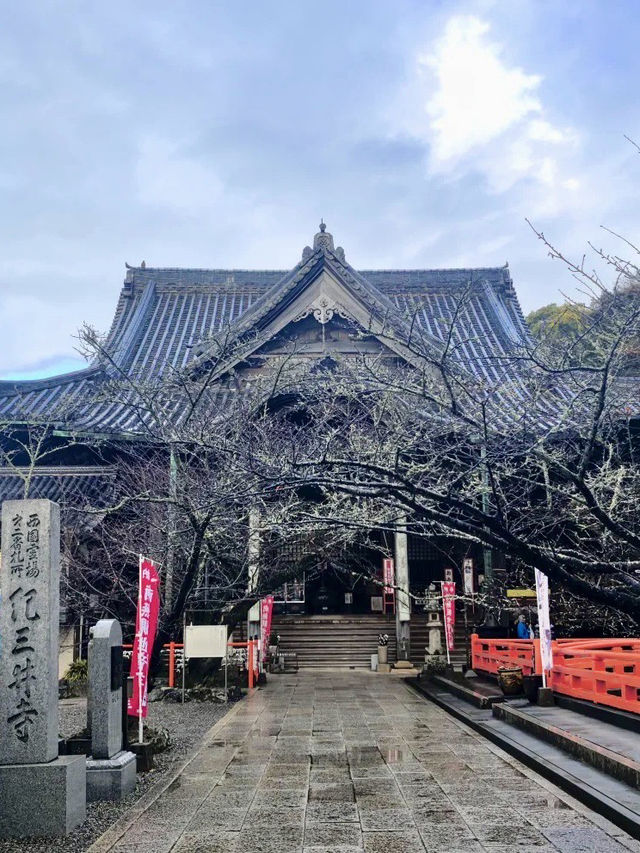 靈光映市的和風信物