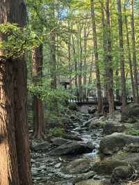 Hiking in botanic garden Beijing 