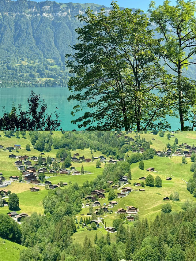 投胎轉世首選！湖光山色與都市繁華嘅完美邂逅！