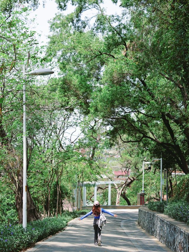 返工攰咗就去行山啦～廣州市區小眾行山路線～