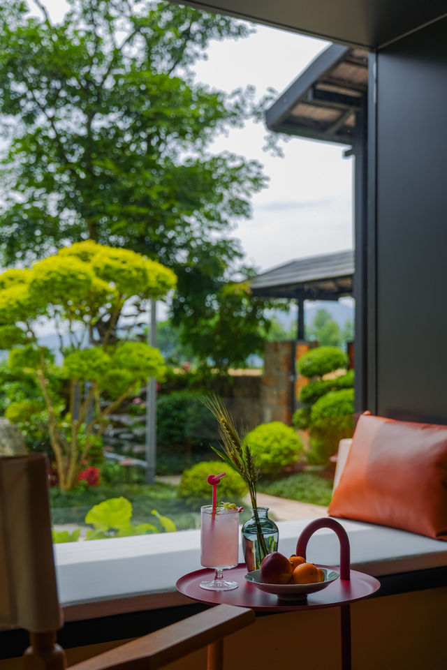 窗外綠蔭，夏日靜好。