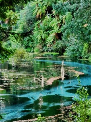New Zealand: A Secret Love Affair with Nature at the Edge of the World
