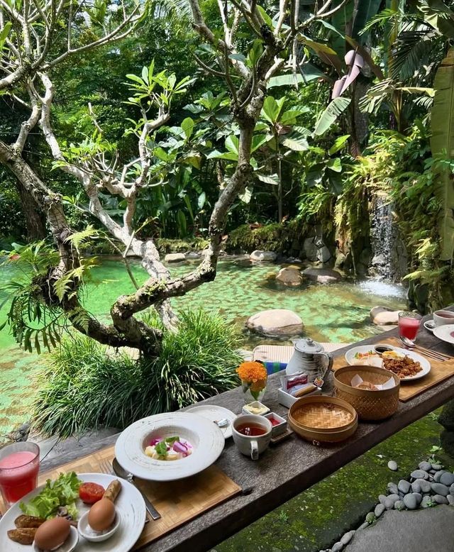 巴厘島烏布小眾森林酒店真係好正