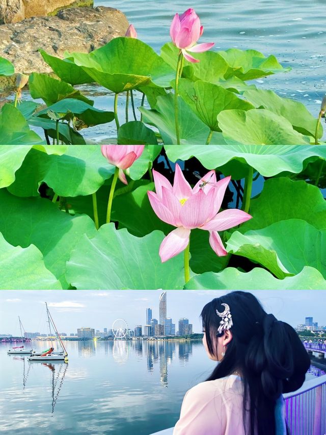 上海周邊遊：太湖邊嘅童話世界