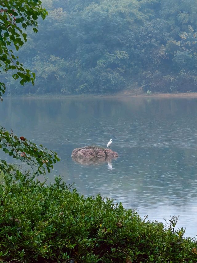 Some places are too peaceful to be famous: Discover a Hidden Gem 40 min from Yiwu