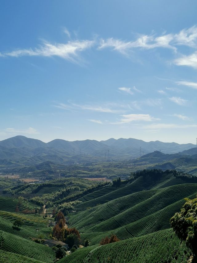 湖州陸羽古道