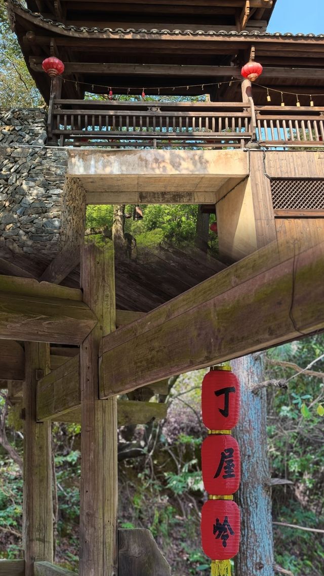 去一趟丁屋嶺，治癒咗我嘅城市焦慮症！