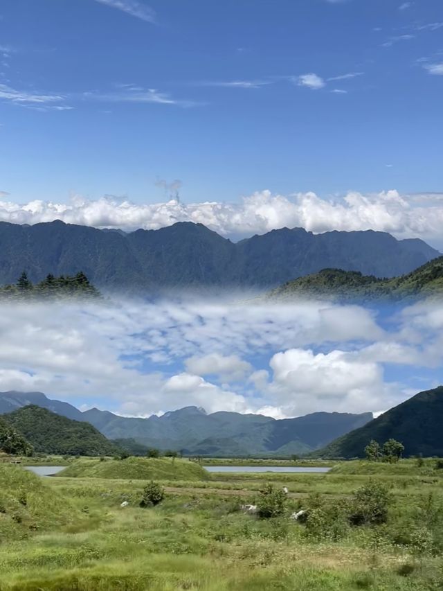 7月唔好唔聽勸就去神農架！你真係要親身體驗先會明白……
