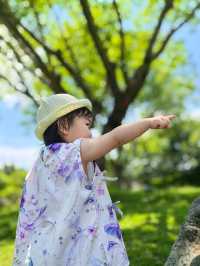 無盡夏日開啟，福州賞繡球花要抓緊了