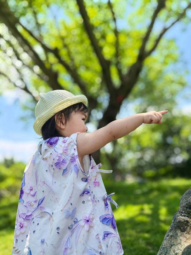 無盡夏日開啟，福州賞繡球花要抓緊了