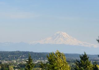 Seattle is beautiful in the summer!
