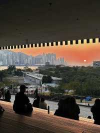 🌇香港追夕陽必衝！西九文化區絕美日落打卡全攻略