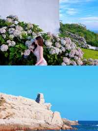 發掘小眾寶藏海島花鳥島！七月封神
