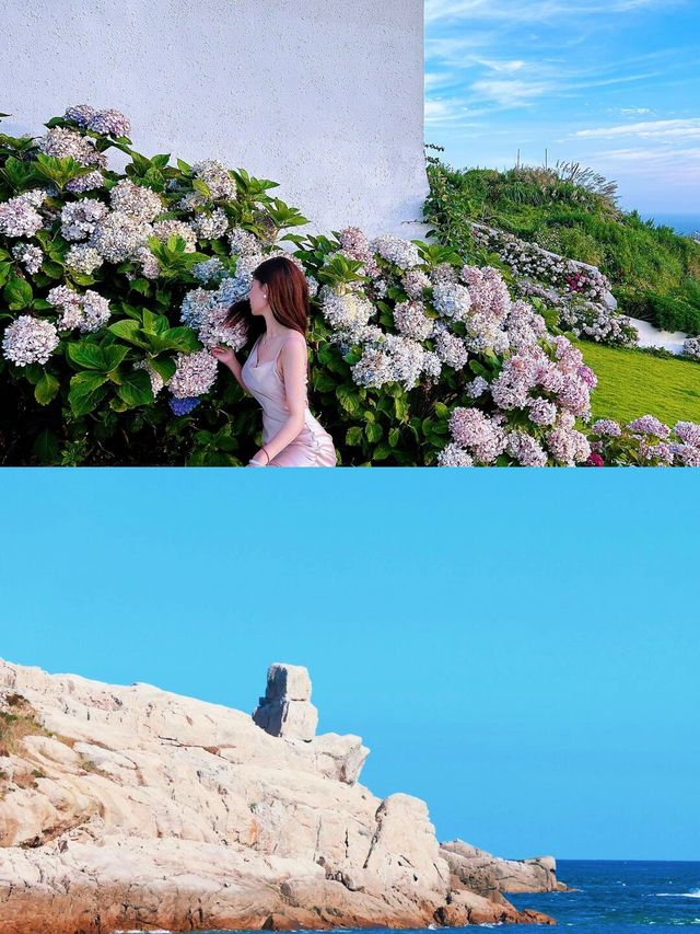 發掘小眾寶藏海島花鳥島！七月封神