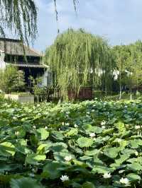 鹽城｜顛覆我認知的大洋灣希爾頓逸林酒店