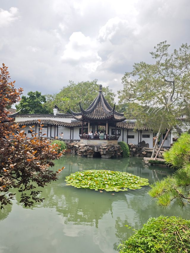 咫尺乾坤，蘇州園林的極致美學丨網師園