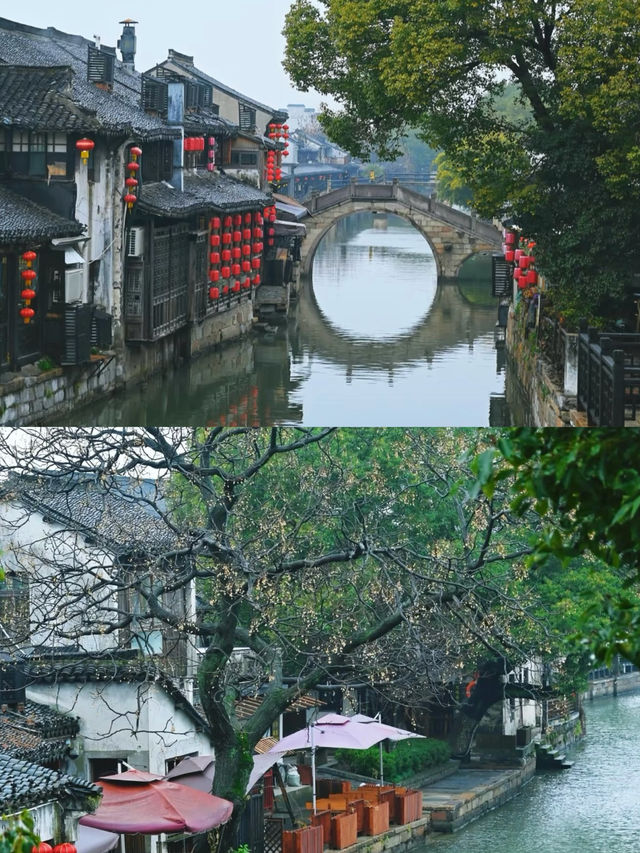夜船賞西塘最美景