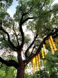 🍃《安亭老街：一場與歲月相逢的輕聲細語》