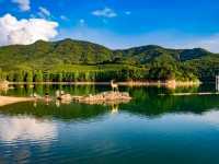 Zhejiang and Pakistan game too high do not want to end?