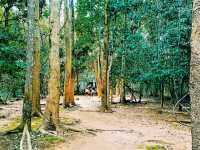 A Temple Lover's Dream: The Perfect Angkor Outer Loop Itinerary