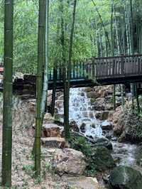夏日自駕南山竹海度假區
