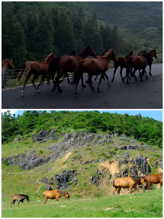 南天湖景區湖光山色山間小徑走走看看心情大好