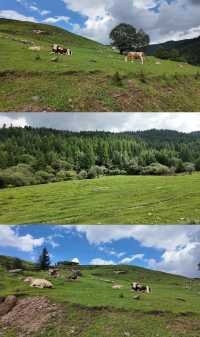 一定要去山西忻州古城走一走