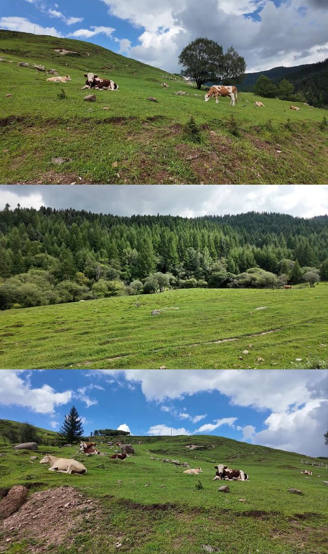 一定要去山西忻州古城走一走