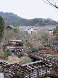 寧波寧波東錢湖享受假期