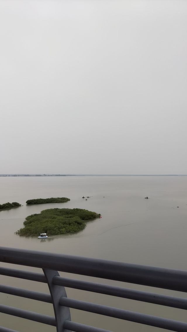 興凱湖：中俄界湖秘境之旅