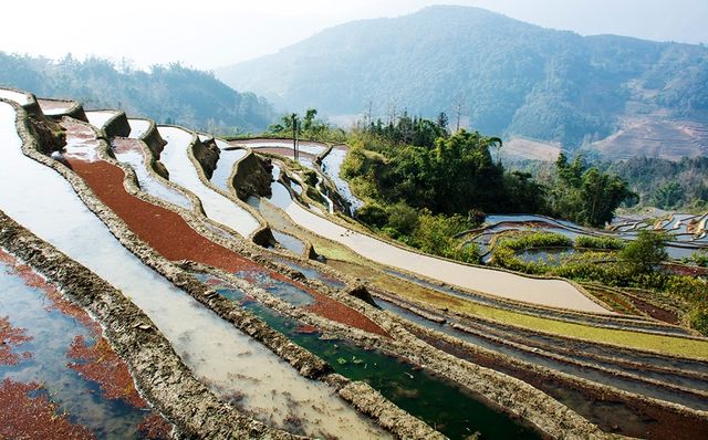 元陽梯田5天4晚旅行攻略，預算5000元，放心玩，放心嗨！