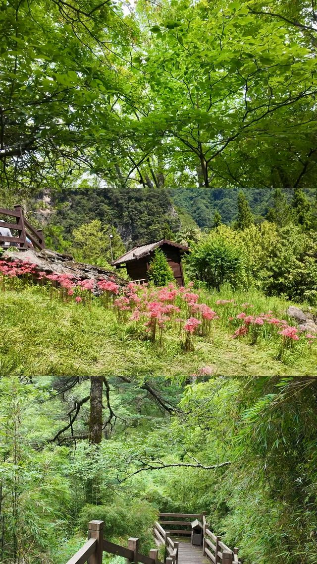 9月私藏！3天2夜閨蜜躺平攻略，住進童話民宿+追銀河