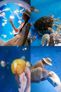 海底樂園必打卡親子最愛夢幻海洋館攻略