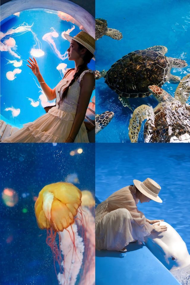 海底樂園必打卡親子最愛夢幻海洋館攻略