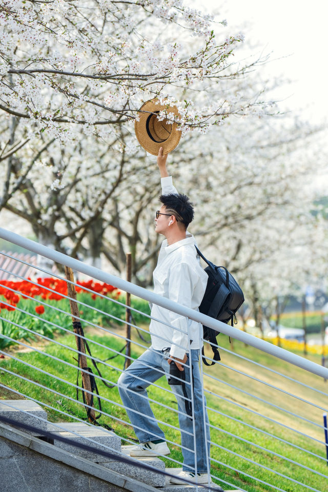 寧波前灣賞花攻略｜春日限定浪漫，邂逅花海