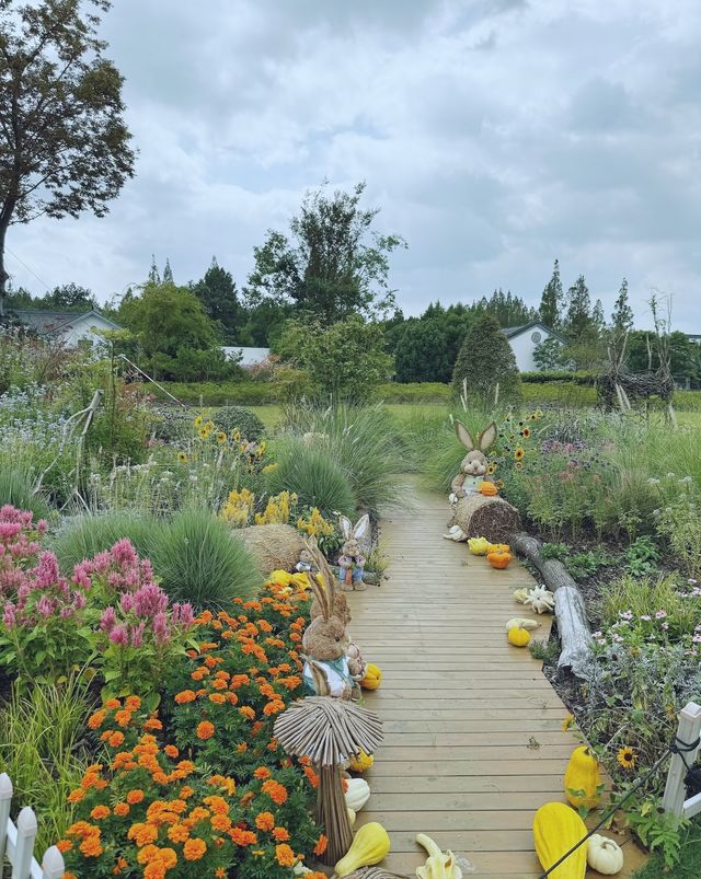 童話裡的小屋，上海植物園秋日兔子派對