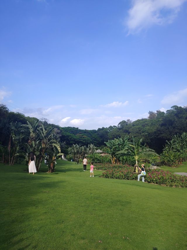 廈門園林博物園：探秘古典園林之美

廈門，這座美麗的海濱城市，不僅因其海灘、島嶼和美食而聞名於世，更